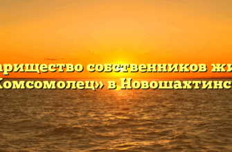 Товарищество собственников жилья «Комсомолец» в Новошахтинске