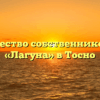 Товарищество собственников жилья «Лагуна» в Тосно