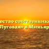 Товарищество собственников жилья «Луговая» в Миньяре