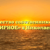 Товарищество собственников жилья «МИРНОЕ» в Николаевке