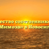 Товарищество собственников жилья «Мимоза» в Новосиле