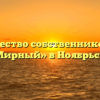Товарищество собственников жилья «Мирный» в Ноябрьске