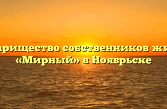 Товарищество собственников жилья «Мирный» в Ноябрьске
