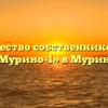 Товарищество собственников жилья «Мурино-1» в Мурине