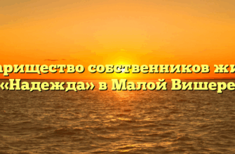 Товарищество собственников жилья «Надежда» в Малой Вишере