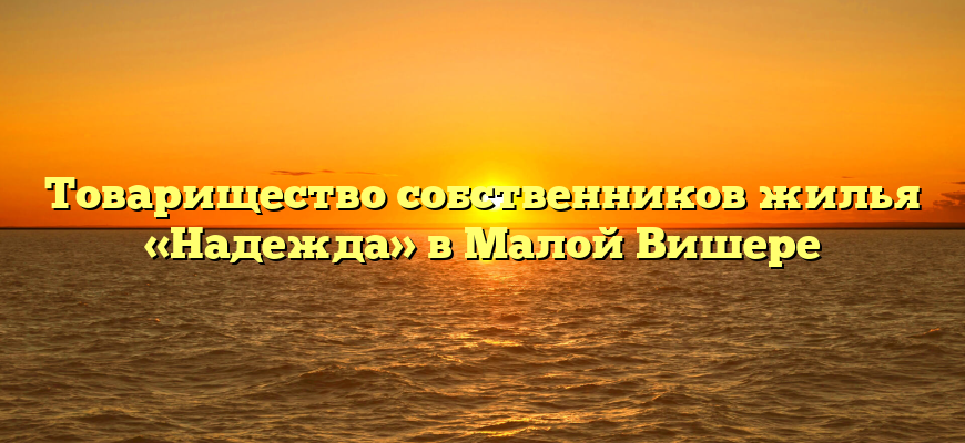 Товарищество собственников жилья «Надежда» в Малой Вишере