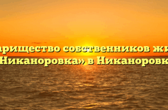 Товарищество собственников жилья «Никаноровка» в Никаноровке