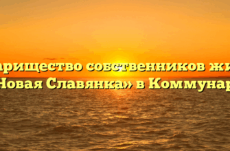 Товарищество собственников жилья «Новая Славянка» в Коммунаре