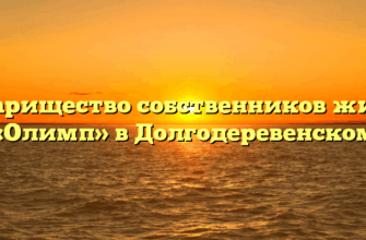 Товарищество собственников жилья «Олимп» в Долгодеревенском