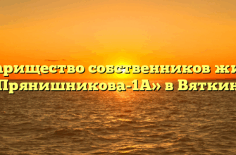 Товарищество собственников жилья «Прянишникова-1А» в Вяткине