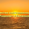 Товарищество собственников жилья «Родник» в Балашове