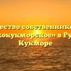 Товарищество собственников жилья «Русскокукморское» в Русском Кукморе