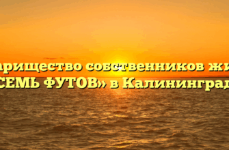 Товарищество собственников жилья «СЕМЬ ФУТОВ» в Калининграде