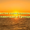 Товарищество собственников жилья «Селяночка» в Троицком