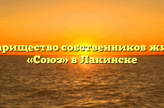 Товарищество собственников жилья «Союз» в Лакинске