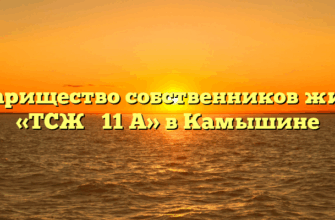 Товарищество собственников жилья «ТСЖ № 11 А» в Камышине