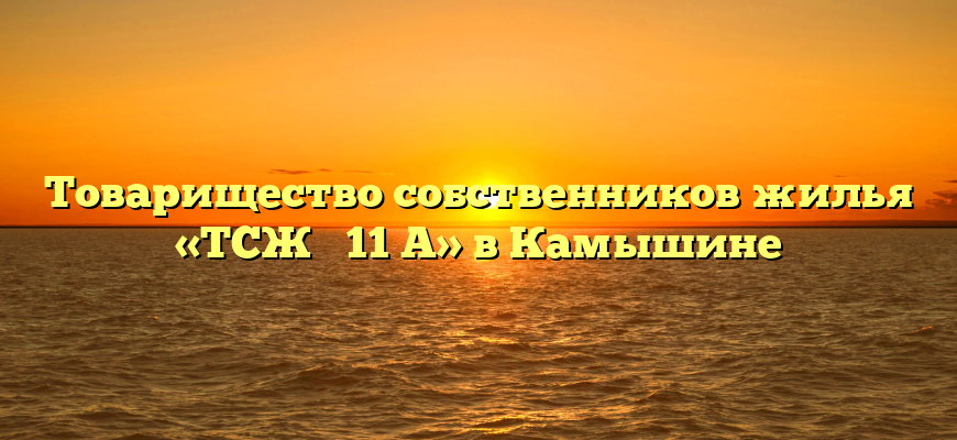 Товарищество собственников жилья «ТСЖ № 11 А» в Камышине