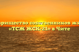 Товарищество собственников жилья «ТСЖ ЖСК-21» в Чите