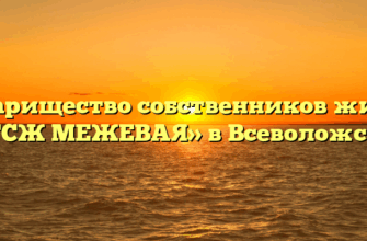 Товарищество собственников жилья «ТСЖ МЕЖЕВАЯ» в Всеволожске
