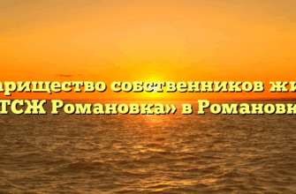 Товарищество собственников жилья «ТСЖ Романовка» в Романовке