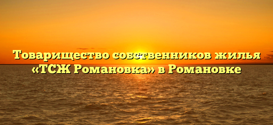 Товарищество собственников жилья «ТСЖ Романовка» в Романовке