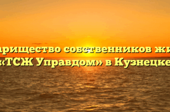 Товарищество собственников жилья «ТСЖ Управдом» в Кузнецке