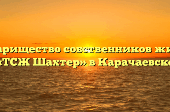 Товарищество собственников жилья «ТСЖ Шахтер» в Карачаевске