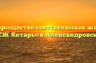 Товарищество собственников жилья «ТСЖ Янтарь» в Александровском