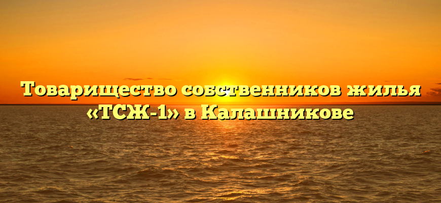 Товарищество собственников жилья «ТСЖ-1» в Калашникове