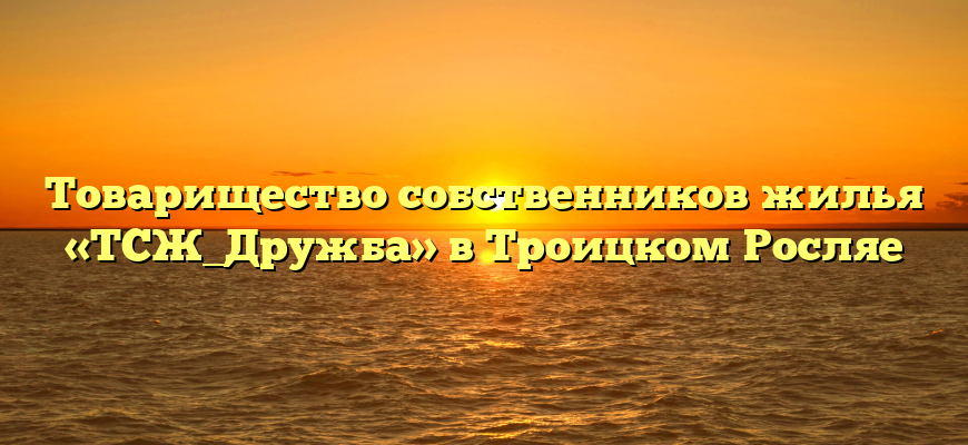 Товарищество собственников жилья «ТСЖ_Дружба» в Троицком Росляе