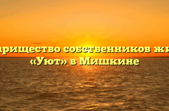 Товарищество собственников жилья «Уют» в Мишкине