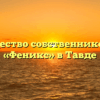 Товарищество собственников жилья «Феникс» в Тавде