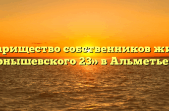Товарищество собственников жилья «Чернышевского 23» в Альметьевске