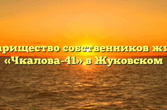 Товарищество собственников жилья «Чкалова-41» в Жуковском
