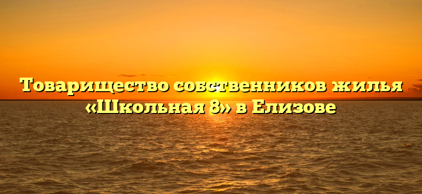 Товарищество собственников жилья «Школьная 8» в Елизове