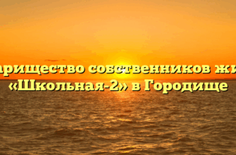 Товарищество собственников жилья «Школьная-2» в Городище
