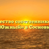 Товарищество собственников жилья «Южный» в Сосновке