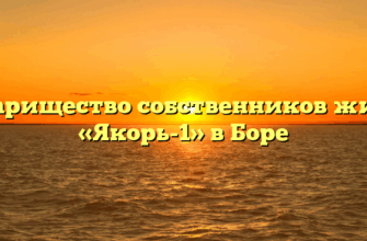Товарищество собственников жилья «Якорь-1» в Боре