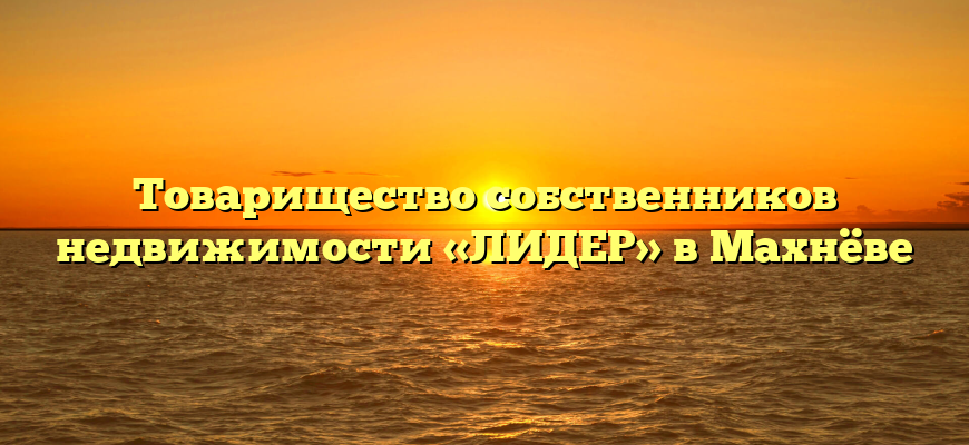 Товарищество собственников недвижимости «ЛИДЕР» в Махнёве