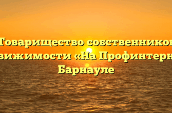 Товарищество собственников недвижимости «На Профинтерна» в Барнауле