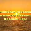Товарищество собственников недвижимости «Сосновый,8» в Красном Боре