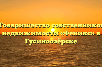 Товарищество собственников недвижимости «Феникс» в Гусиноозёрске