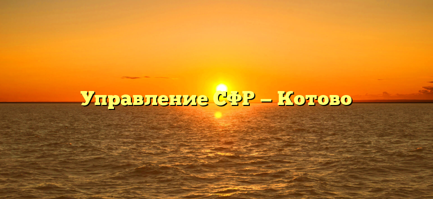 Управление СФР — Котово