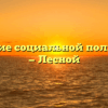 Управление социальной политики № 17 — Лесной