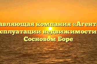 Управляющая компания «Агентство эксплуатации недвижимости» в Сосновом Боре
