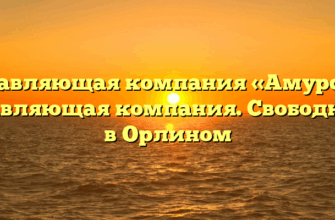 Управляющая компания «Амурская управляющая компания. Свободный» в Орлином