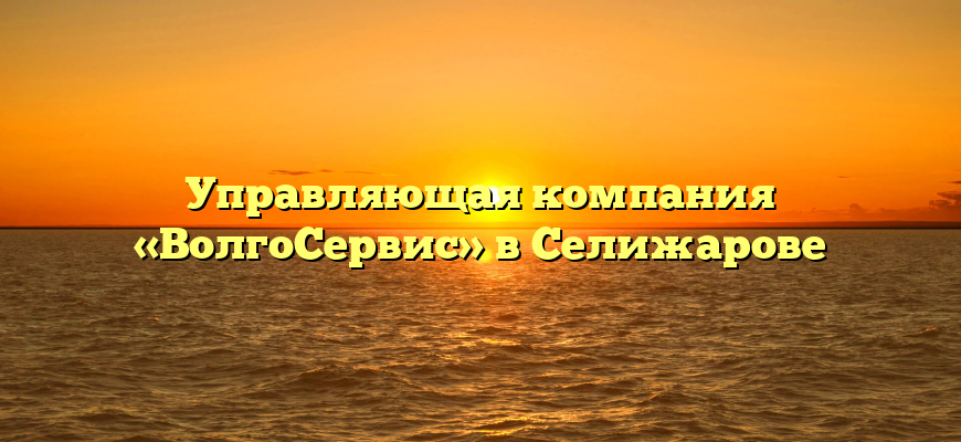 Управляющая компания «ВолгоСервис» в Селижарове