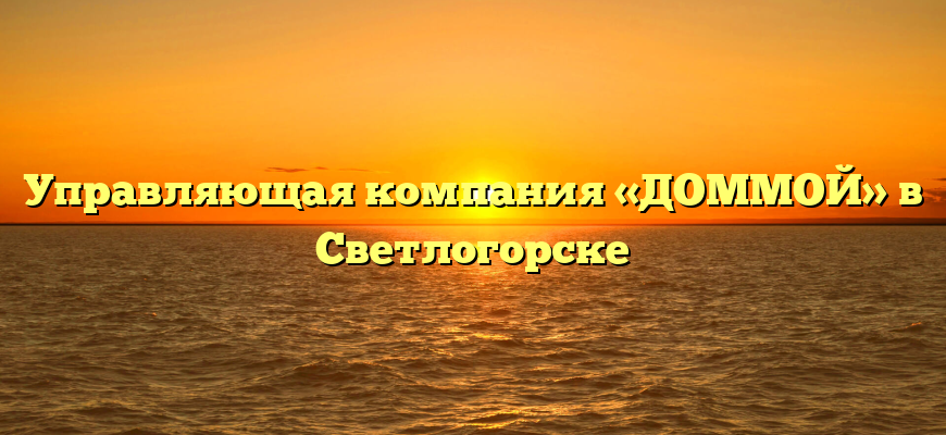 Управляющая компания «ДОММОЙ» в Светлогорске