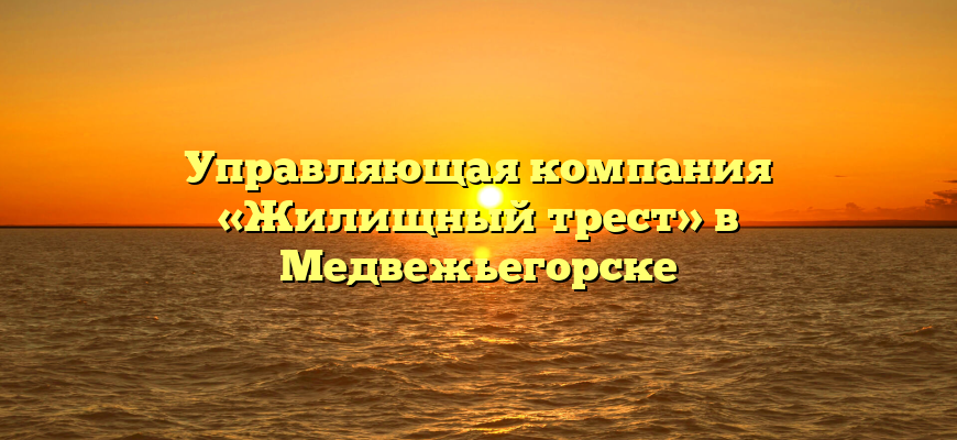 Управляющая компания «Жилищный трест» в Медвежьегорске