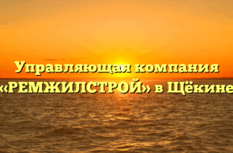 Управляющая компания «РЕМЖИЛСТРОЙ» в Щёкине